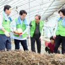 박영태농장 이미지