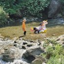축령산 히든벨리 | 축령산 히든밸리 캠핑장 사계썰매장 캠핑장