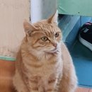 갑수농장 이미지