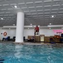 켄싱턴호텔평창 실외수영장 이미지