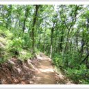 양산누리길 이미지