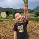 의성마늘한우프라자 이미지