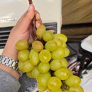 삼인산밸리캠핑장 이미지