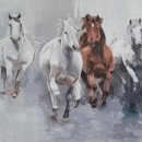 그날을담다 이미지