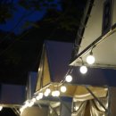 트리풀하우스 이미지