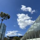 파크골프클럽 | 시드니 신혼여행 2일차 : 무어파크 골프클럽 라운딩 후기, 중국 분들과 조인플레이 후기