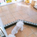 위드펫종합동물병원 이미지