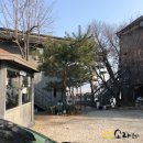 꿈길속에펜션 이미지