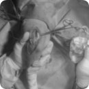 잠실종합동물병원 이미지