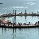 가우도 복합낚시공원 이미지