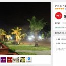 자홍원