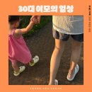 펫마트 이발소 | 30대 이모의 6월 일상