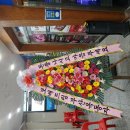 오늘생고기 이미지