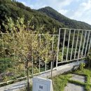 화이트풀빌 이미지