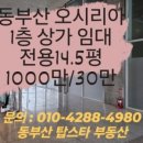 오시리아부동산공인중개사사무소 이미지