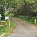 장성공설운동장 11 이미지