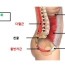 헬스보이짐 앤 필라걸 용문역점 이미지