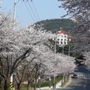 봉계 경로당 | 여행의 후기와 돌아온 일상