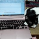 삶의 보람 이미지