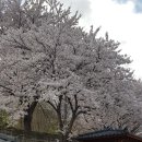 무한천농장 이미지