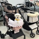 언니네강아지 | 강아지 유모차 할인매장 펫랜드 피카고 애자일2, 프리투고2.5 비교 후기