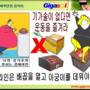 물과 산화질소로 질병을 예방 이미지