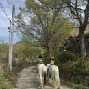 [아이와 함께 여행] 부산 아이 승마체험 추천｜바모스클럽 후기 + 빌라쥬드아난티 조식