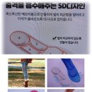 대전에서 보내온 코스모스 & 기능성 5D깔창~ 이미지