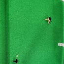 수송스크린골프 이미지