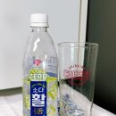 네고왕 부채표 소다활 내돈내산 후기 | 제로 칼로리에 소화까지 된다고? (+신제품 솔직리뷰)