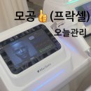 미샤인의원 | 당감동피부관리 미샤인뷰티 | 여름철 요철·모공·트러블 관리 Tips!