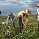 천만농장 이미지