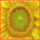 몽마르뜨빌 이미지