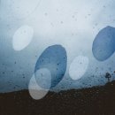 이설아 카카오 검색결과