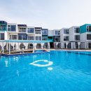 제주부동산중개법인 이미지