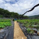 한미농장 이미지