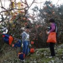 시몬농장 이미지