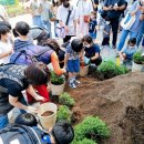 흥도초등학교 이미지