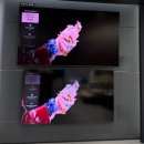 동명할인마트 | 삼성 TV 가격 할인 혜택가 65인치 75인치 85인치 비교