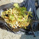 야산농장 이미지