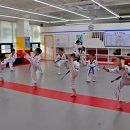 경희대도전태권도장 이미지