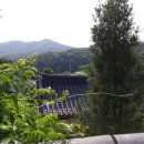 수원대학교 행정대학원 이미지