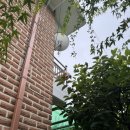 팔당원조칼제비칼국수양평더테라스 | 양평 애견동반 칼제비 칼국수집 추천 : 내돈내산 <팔당원조칼제비칼국수 양평더테라스> 후기