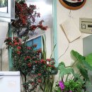 성주고향식당 이미지