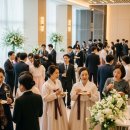 다크로맨스 | 룩 봄, "우아함의 정석을 만나다" 2026년 트렌드 '다크 로맨스'를 녹여낸 고급스러운 색감과 소재 활용법