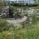 실비식당 이미지