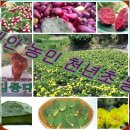 의석농장 네이버블로그