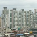 강서구-37 이미지