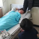 체리부로