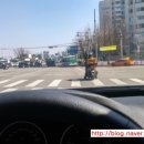 김치빌리아드 이미지